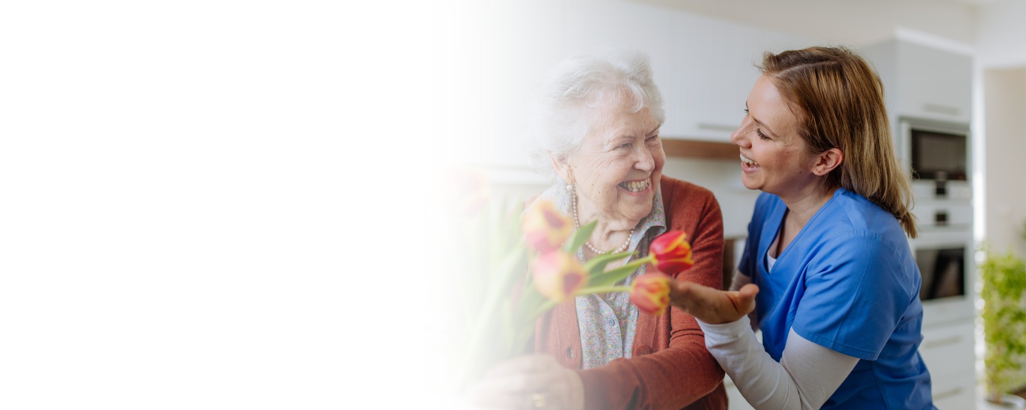 Caregiver giving senior woman tulips kitchen Caregiver giving senior woman tulips kitchen
